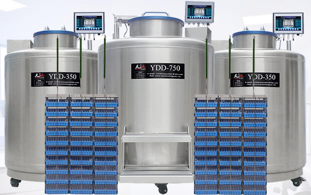 廣口液氮罐ydd儲存幹細胞的方式（shì）