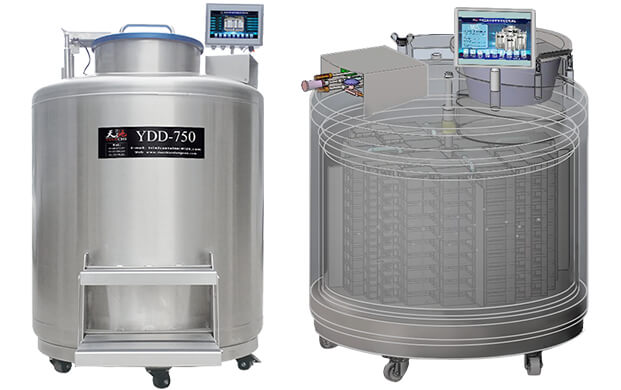 氣相液氮罐（guàn）是怎麽分區的？