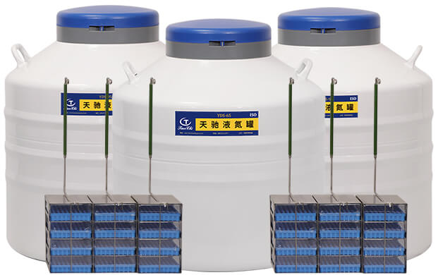 科研用液氮罐一（yī）般儲存什麽樣本？