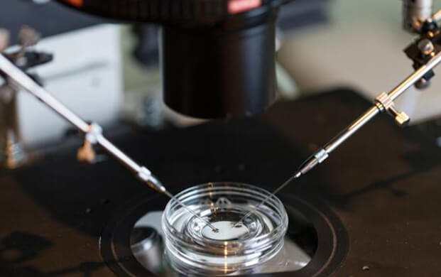 新型IVF技術通過糖分子綁定延長（zhǎng）精子存（cún）活期