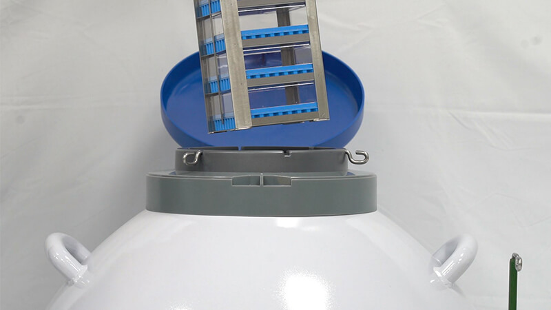 細菌可以凍在實驗室液氮罐裏嗎（ma）