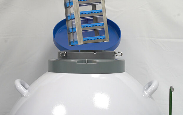 細菌可(kě)以凍在實驗室液氮罐裏嗎?