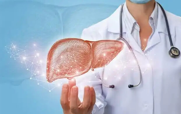 日本培育代謝活性肝（gān）細胞類器官，液氮冷（lěng）凍技術突破存儲瓶頸