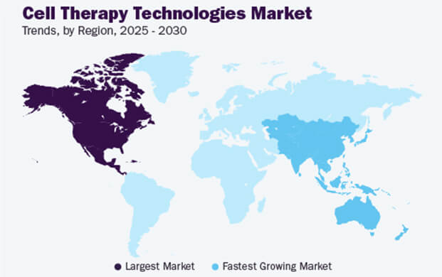 細胞治療技術(shù)市場增長(zhǎng)態勢強勁,實驗室(shì)的液(yè)氮(dàn)容器需求攀升